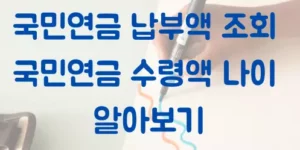 국민연금 납부액 조회 및 국민연금 수령액 나이 알아보기