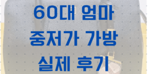 60대 엄마 중저가 가방 구매 후기