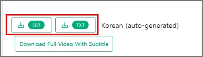 SRT나 TXT중 선택하여 자막 다운로드