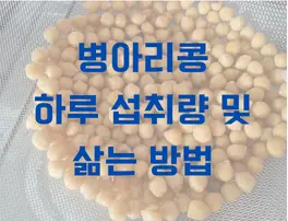 병아리콩 하루 섭취량 및 삶는 방법