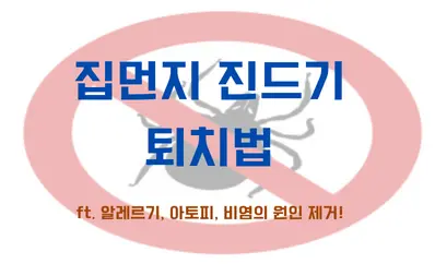 알레르기성 비염 유발하는 집먼지 진드기 퇴치법