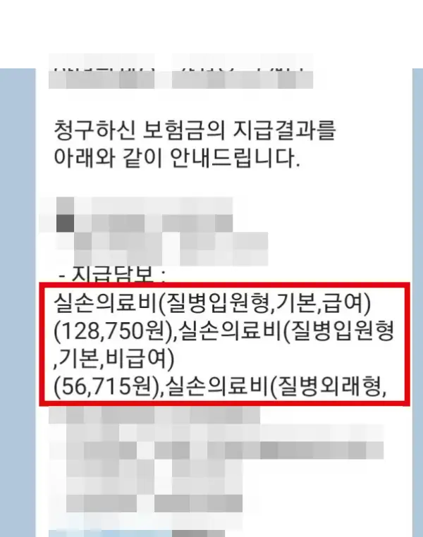 보험사에서 실제로 받은 실손보험금 인증샷