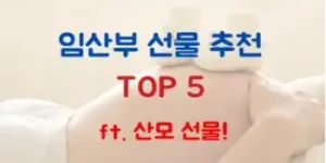 임산부 서물 추천 TOP5(ft.산모 선물)