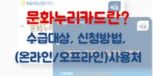 문화누리카드 수급대상, 신청방법, 온라인 오프라인 사용처