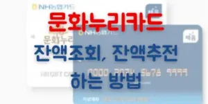 문화누리카드 잔액조회,잔액충전, 쉽고 간단하게 하는 방법