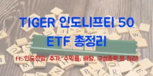 TIGER 인도니프티50 ETF 총정리