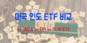 미국 인도ETF 비교(INDA, EPI, FLIN)