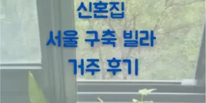 신혼집 서울 구축 빌라 거주 후기(ft.아파트 살다 빌라는?)