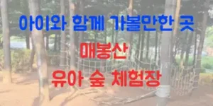 아이와 함께 가볼만한 곳 매봉산 유아 숲 체험장