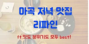 마곡 저녁 맛집 추천(리파인)