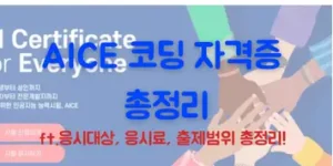 AICE 코딩 자격증 총정리