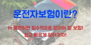 운전자보험이란